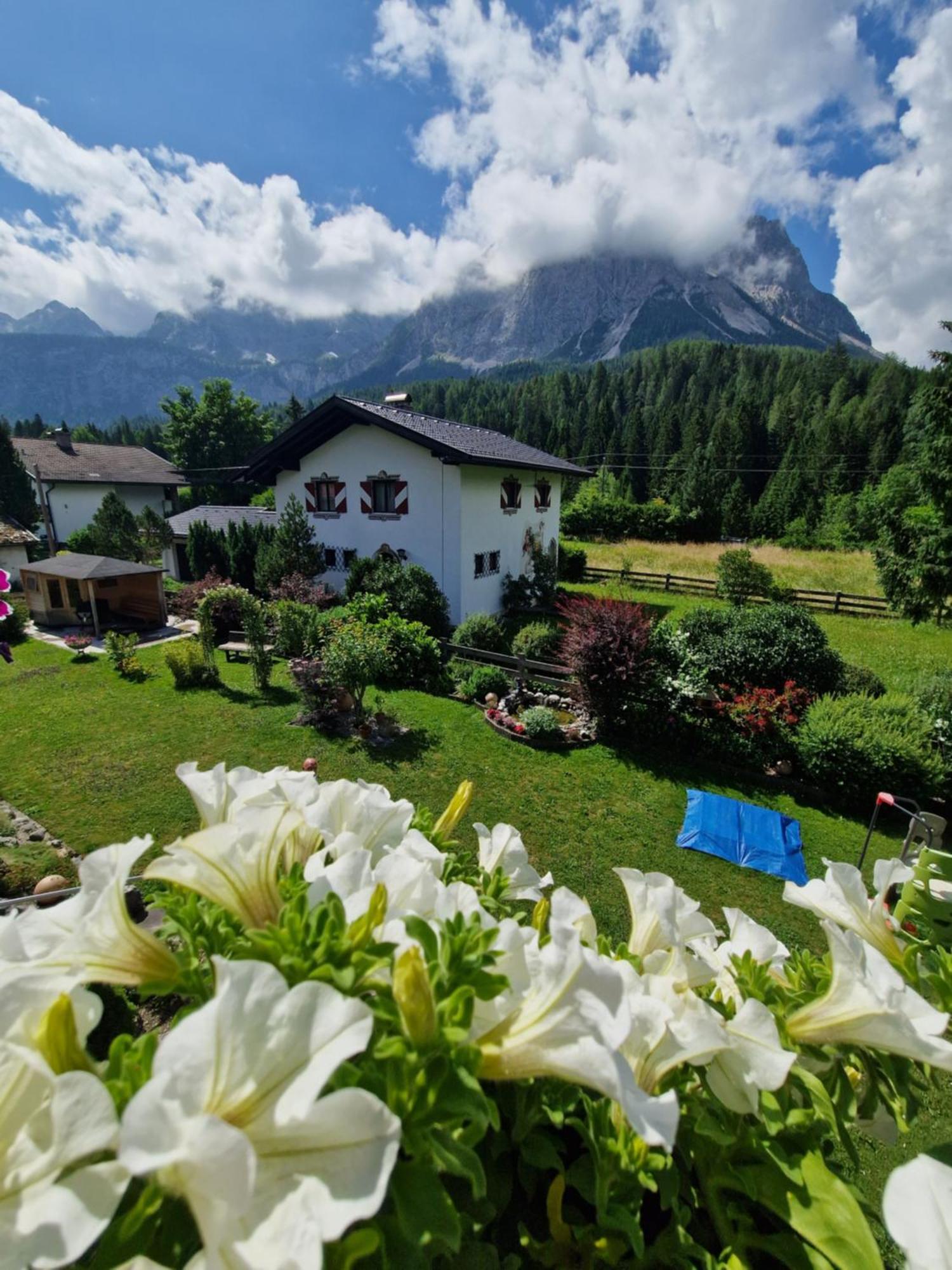 Gaestehaus Schoeneweiss Ehrwald Eksteriør billede