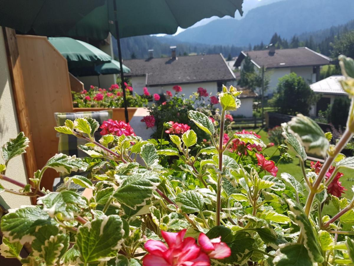 Gaestehaus Schoeneweiss Ehrwald Eksteriør billede